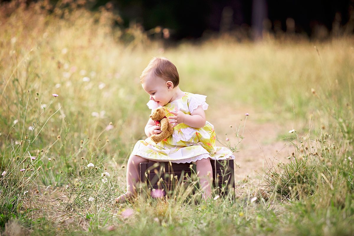 toddler+field+teddy child portraits in adelaide forest by deb elton photography