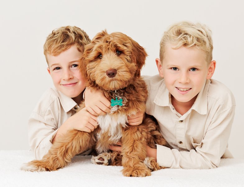 family photographer near McLaren Vale with dogs